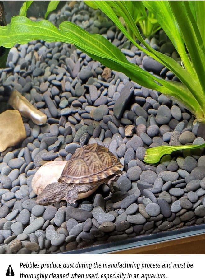 أحجار فاييناتو لأحواض السمك، 5 كجم - حصى نهري طبيعي للمنزل، تنسيق الحدائق، حشو المزهريات، حوض الغسيل - زينة صخرية - Image 4